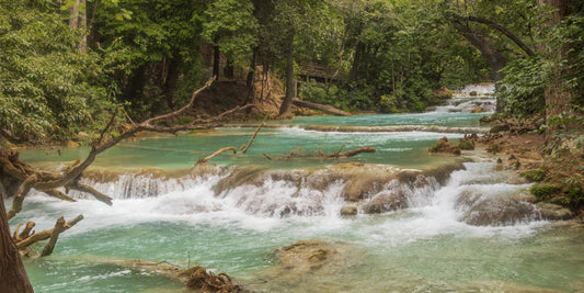 Barra de San Simón: Un paraíso en Chiapas